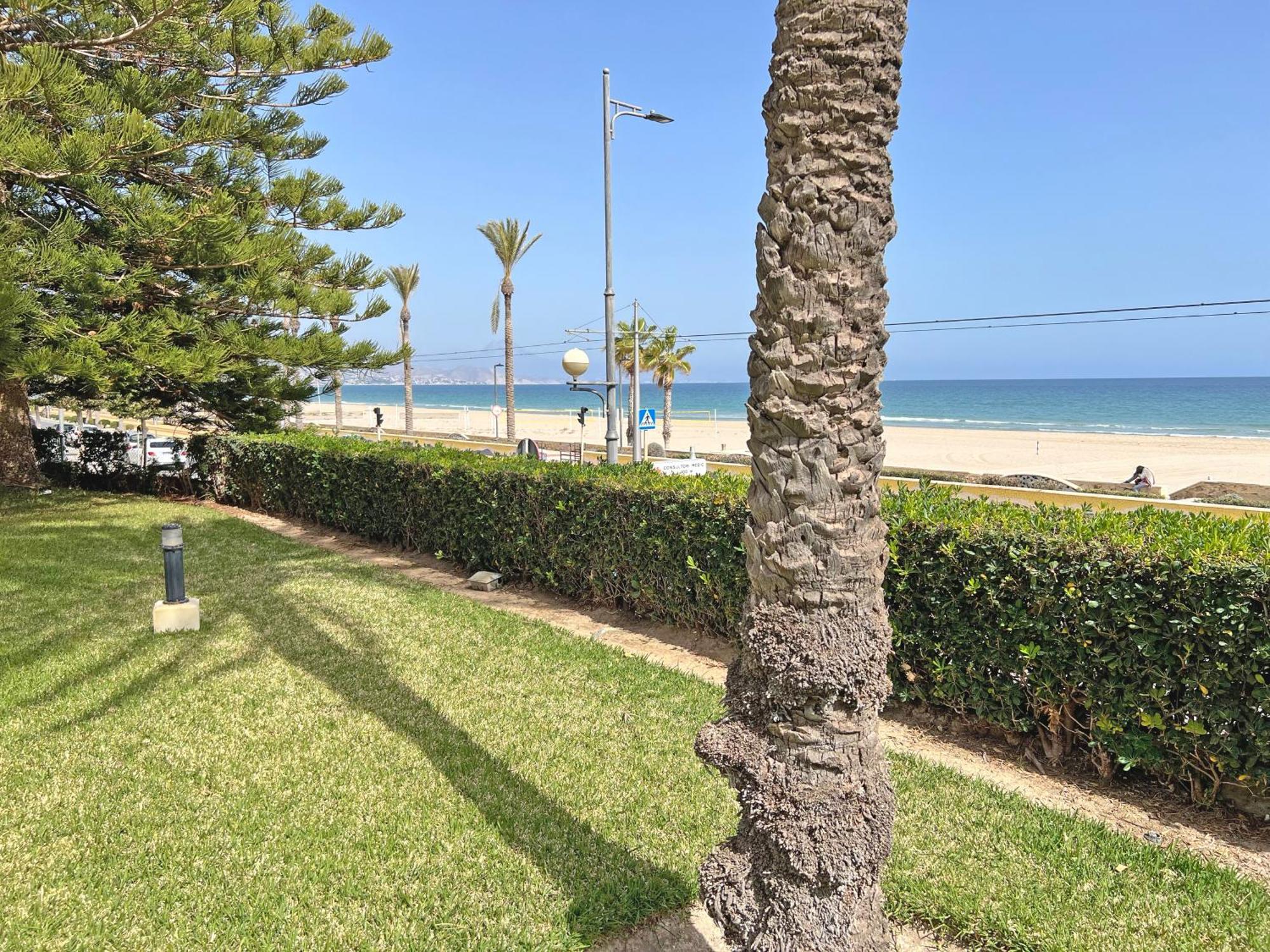 Oasis Frente Al Mar. Parking Gratis Apartment El Campello Exterior photo